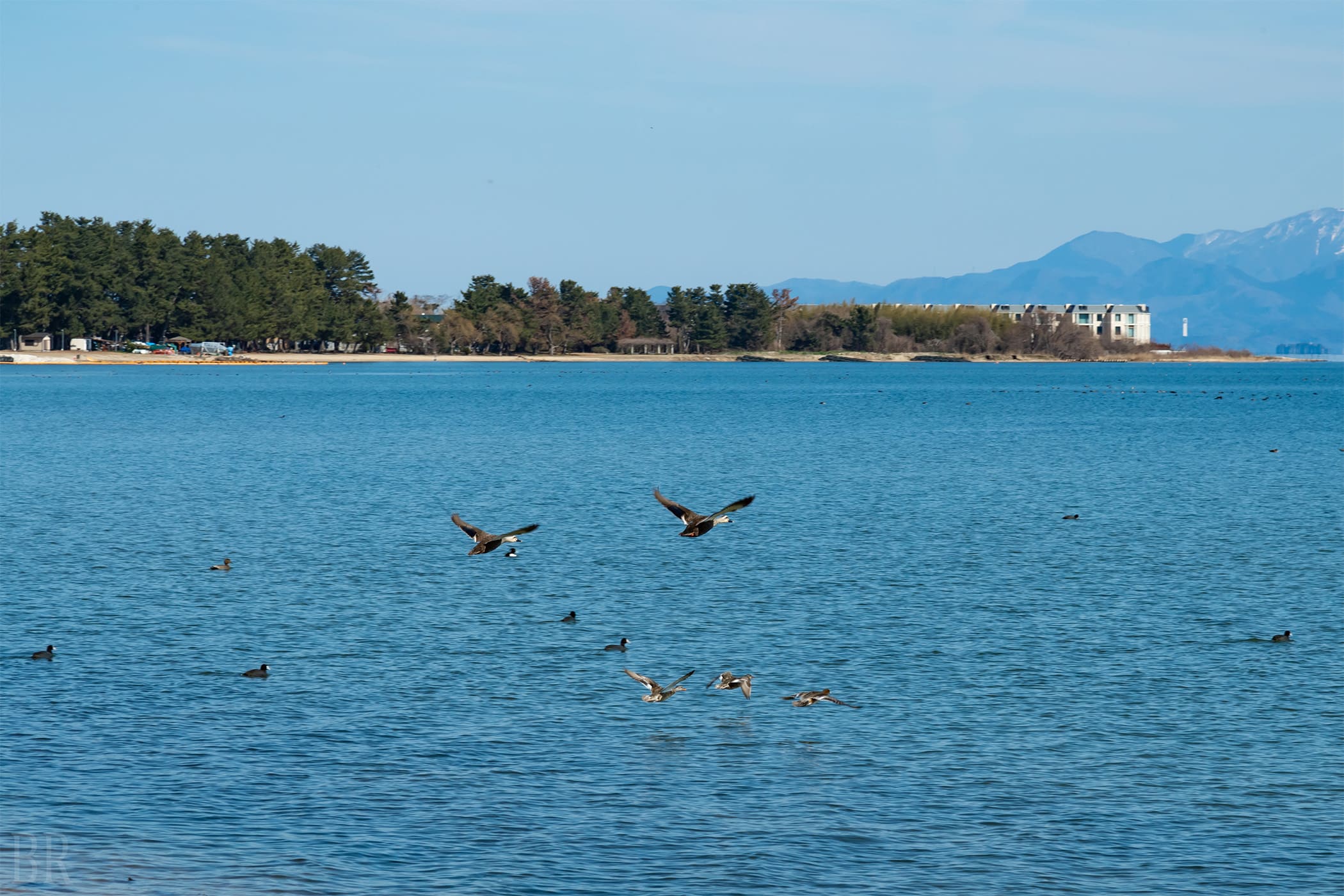 Lake Biwa