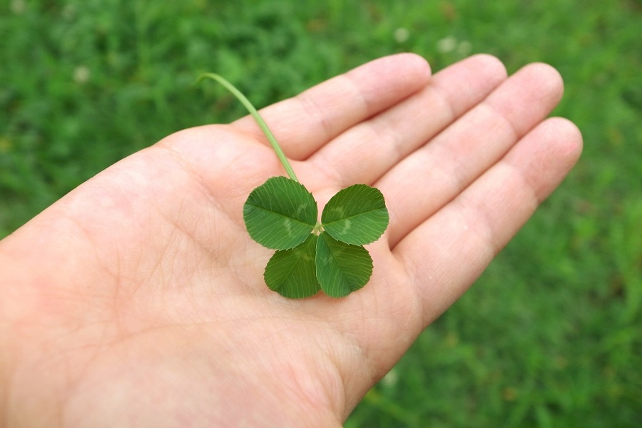 image03